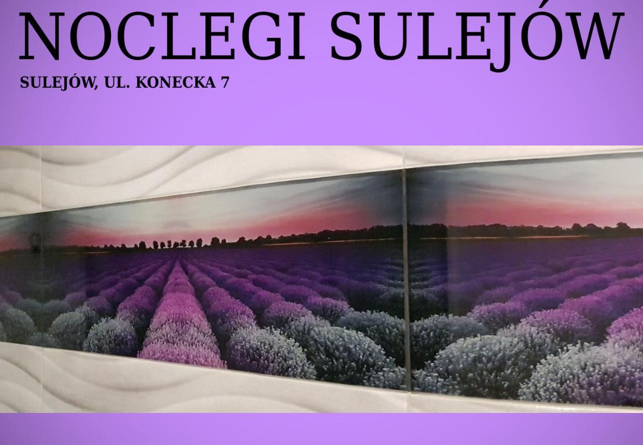 Noclegi Sulejów Kültér fotó